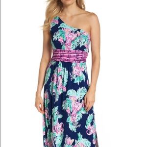 NWT Lily Pulizter Malia Maxi Dress